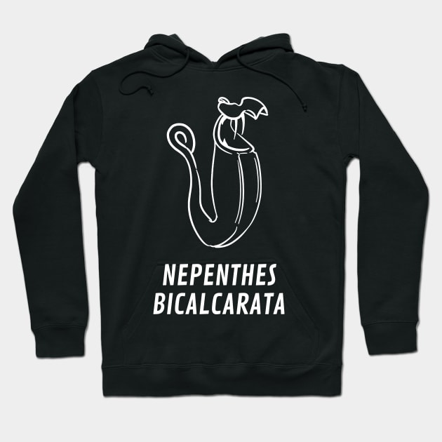 Carnivorous Pitcher Plant Gift Nepenthes Bicalcarata Hoodie by Venus Fly Trap Shirts